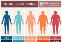 What Is Body Mass Index (BMI)? Why It Matters and What Your Results Mean Body Mass Index BMI categories showing underweight, normal weight, overweight, and obesity