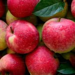 10 Fruits Rich in Fiber for Better Digestion and Overall Health Apple as a fruit rich in fiber supporting digestion, gut health, and overall wellness