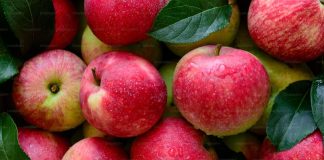 10 Fruits Rich in Fiber for Better Digestion and Overall Health Apple as a fruit rich in fiber supporting digestion, gut health, and overall wellness