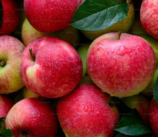 10 Fruits Rich in Fiber for Better Digestion and Overall Health Apple as a fruit rich in fiber supporting digestion, gut health, and overall wellness