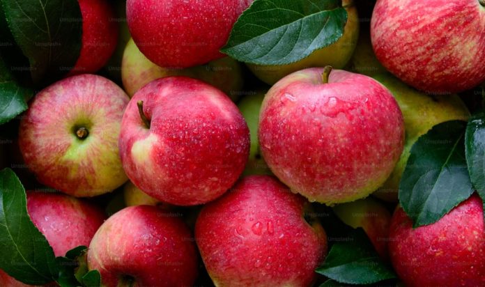 Apple as a fruit rich in fiber supporting digestion, gut health, and overall wellness